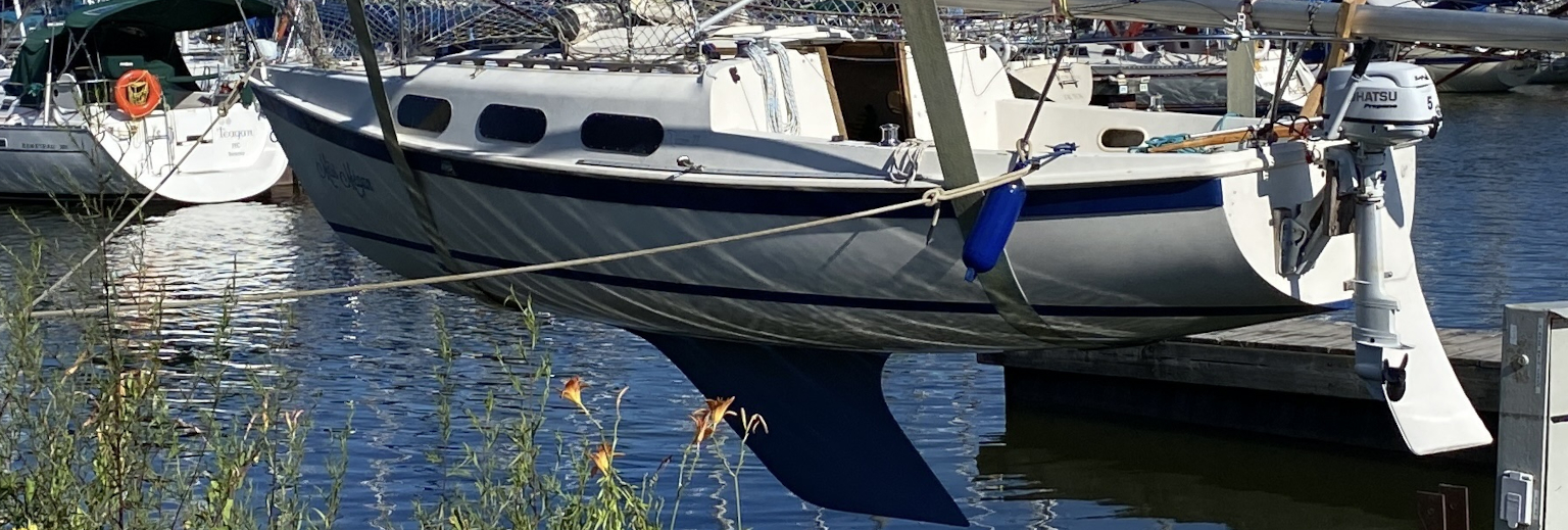 Read more about the article Launch Day