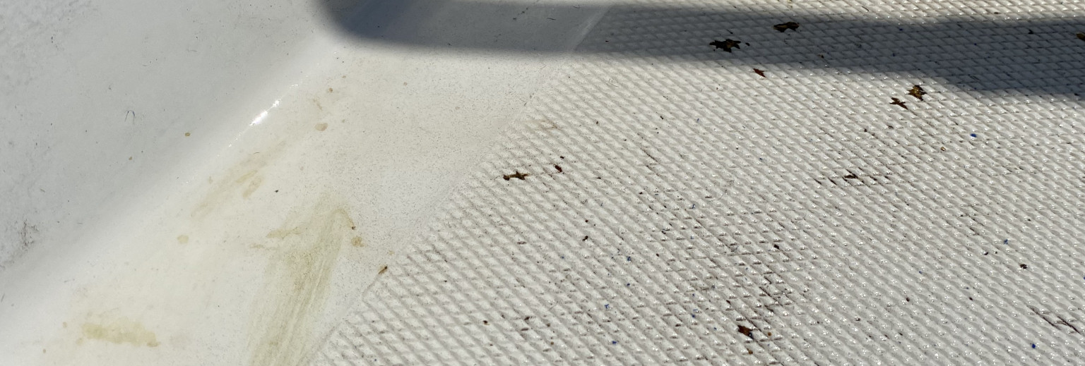 Read more about the article In the Water and New Issues